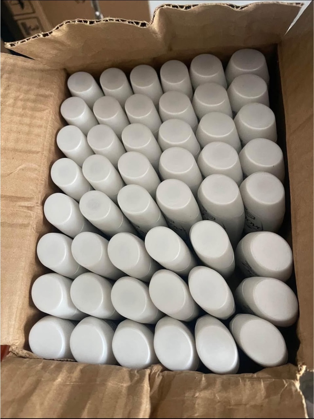 Travel-Ready White Spray Bottles — Multipack for Home & Bath